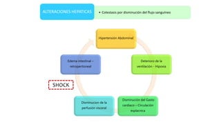 • Colestasis por disminución del flujo sanguíneoALTERACIONES HEPATICAS
Hipertensión Abdominal
Deterioro de la
ventilación - Hipoxia
Disminución del Gasto
cardiaco – Circulación
esplacnica
Disminucion de la
perfusión visceral
Edema intestinal –
retroperitoneal
SHOCK
 