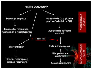 FASE
DE
COMPENSACIÓN
FASE
DE
DESCOMPENSACIÓN
 