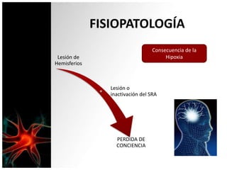 FISIOPATOLOGÍA
Lesión de
Hemisferios
Lesión o
inactivación del SRA
PERDIDA DE
CONCIENCIA
Consecuencia de la
Hipoxia
 