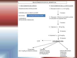 TRATAMIENTO
5ml/Kg de Dextroxa al 10%
 