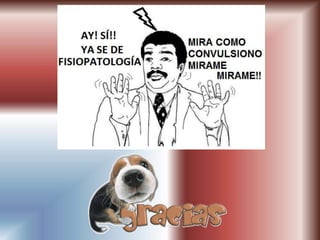 sindrome-convulsivo.pptx tipos mas comunes