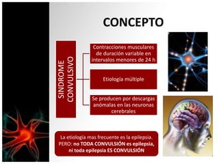 CONCEPTO
SINDROME
CONVULSIVO
Contracciones musculares
de duración variable en
intervalos menores de 24 h
Etiología múltiple
Se producen por descargas
anómalas en las neuronas
cerebrales
La etiología mas frecuente es la epilepsia.
PERO: no TODA CONVULSIÓN es epilepsia,
ni toda epilepsia ES CONVULSIÓN
 
