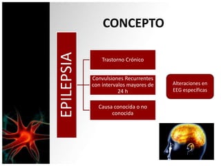 CONCEPTO
EPILEPSIA
Trastorno Crónico
Convulsiones Recurrentes
con intervalos mayores de
24 h
Causa conocida o no
conocida
Alteraciones en
EEG específicas
 