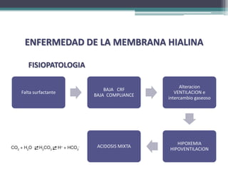 ENFERMEDAD DE LA MEMBRANA HIALINA

   FISIOPATOLOGIA

                                           Alteracion
                        BAJA CRF
Falta surfactante                        VENTILACION e
                    BAJA COMPLIANCE
                                      intercambio gaseoso




                                         HIPOXEMIA
                     ACIDOSIS MIXTA
                                      HIPOVENTILACION
 