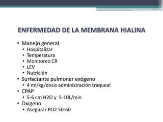ENFERMEDAD DE LA MEMBRANA HIALINA
• Manejo general
  •   Hospitalizar
  •   Temperatura
  •   Monitoreo CR
  •   LEV
  •   Nutrición
• Surfactante pulmonar exógeno
  • 4 ml/kg/dosis administración traqueal
• CPAP
  • 5-6 cm H2O y 5-10L/min
• Oxigeno
  • Asegurar PO2 50-60
 