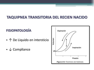 TAQUIPNEA TRANSITORIA DEL RECIEN NACIDO


FISIOPATOLOGÍA

• ↑ De Liquido en intersticio

• ↓ Compliance
 