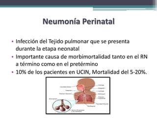 Neumonía Perinatal

• Infección del Tejido pulmonar que se presenta
  durante la etapa neonatal
• Importante causa de morbimortalidad tanto en el RN
  a término como en el pretérmino
• 10% de los pacientes en UCIN, Mortalidad del 5-20%.
 