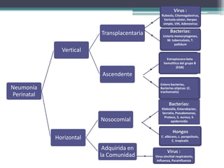 Virus :
                                                Rubeola, Citomegalovirus,
                                                 Varicela-zóster, Herpes
                                                 simple, VIH, Adenovirus

                         Transplacentaria              Bacterias:
                                                 Listeria monocytogenes,
                                                    M. tuberculosis, T.
                                                          pallidum
              Vertical
                                                    Estreptococo beta
                                                  hemolítico del grupo B
                                                          (EGB)

                         Ascendente
                                               Entero bacterias,
Neumonía                                       Bacterias atípicas: (C.
                                               trachomatis)
Perinatal
                                                      Bacterias:
                                                Klebsiella, Enterobacter,
                                                Serratia, Pseudomonas,
                                                  Proteus, S. aureus, S.
                         Nosocomial                   epidermidis


                                                         Hongos
            Horizontal                          C. albicans, c. parapsilosis,
                                                        C. tropicalis

                          Adquirida en               Virus :
                         la Comunidad       Virus sincitial respiratorio,
                                             Influenza, Parainfluenza
 