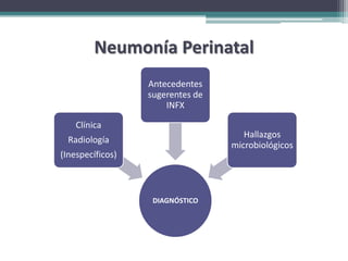 Neumonía Perinatal
                  Antecedentes
                  sugerentes de
                      INFX

    Clínica
                                     Hallazgos
  Radiología
                                  microbiológicos
(Inespecíficos)



                   DIAGNÓSTICO
 