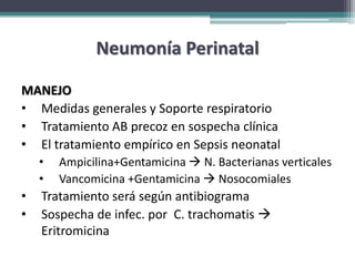 Neumonía Perinatal

MANEJO
• Medidas generales y Soporte respiratorio
• Tratamiento AB precoz en sospecha clínica
• El tratamiento empírico en Sepsis neonatal
    •   Ampicilina+Gentamicina  N. Bacterianas verticales
    •   Vancomicina +Gentamicina  Nosocomiales
•   Tratamiento será según antibiograma
•   Sospecha de infec. por C. trachomatis 
    Eritromicina
 