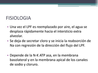 FISIOLOGIA
• Una vez el LPF es reemplazado por aire, el agua se
  desplaza rápidamente hacia el intersticio extra
  alveolar.
• Se deja de secretar cloro y se inicia la reabsorción de
  Na con regresión de la dirección del flujo del LPF.

• Depende de la N-K ATP asa, en la membrana
  basolateral y en la membrana apical de los canales
  de sodio y cloruro.
 
