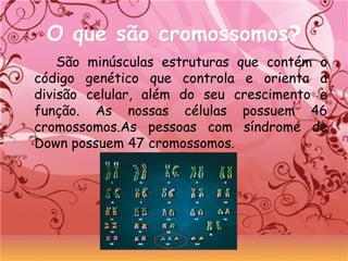 O que são cromossomosO que são cromossomos?
São minúsculas estruturas que contém o
código genético que controla e orienta a
divisão celular, além do seu crescimento e
função. As nossas células possuem 46
cromossomos.As pessoas com síndrome de
Down possuem 47 cromossomos.
 