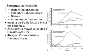  Distensión abdominal
 Calambres abdominales
 Diarrea
 Aumento de flatulencias
 Ingesta de 3g de lactosa inicia
los síntomas.
 Asociados a mayor velocidad de
tránsito intestinal.
 Riesgos: Osteoporosis y
fracturas óseas.
Síntomas principales:
 