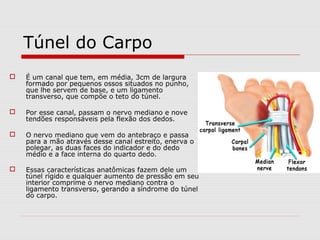 Túnel do Carpo
 É um canal que tem, em média, 3cm de largura
formado por pequenos ossos situados no punho,
que lhe servem de base, e um ligamento
transverso, que compõe o teto do túnel.
 Por esse canal, passam o nervo mediano e nove
tendões responsáveis pela flexão dos dedos.
 O nervo mediano que vem do antebraço e passa
para a mão através desse canal estreito, enerva o
polegar, as duas faces do indicador e do dedo
médio e a face interna do quarto dedo.
 Essas características anatômicas fazem dele um
túnel rígido e qualquer aumento de pressão em seu
interior comprime o nervo mediano contra o
ligamento transverso, gerando a síndrome do túnel
do carpo.
 