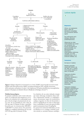 N EFROLO GÍA
Síndrome nefrítico
O. Mur y G. de la Mata
Hematuria

Lectura rápida

Anamnesis
Exploración física

Considerar
infección
urinaria

Análisis de orina
(orina elemental
y urocultivo)

Confirmar enfermedad sistémica

Ausente

Aspecto de la orina
Proteinuria
Cilindros hemáticos
Morfología hematíes

Localización
de la hematuria

No glomerular
(hematíes
eumórficos)

Glomerulopatía

Púrpura S-H
Nefropatía lúpica
Otras vasculitis

Glomerular
(hematíes
dismórficos)

Urocultivo
Ca/creatinina y ácido úrico
en orina
Ecografía nefrourológica
CUMS (casos seleccionados)
DMSA, MAG3 (casos
seleccionados)
UIV (casos seleccionados)
Citoscopia (casos seleccionados)

Diagnóstico

Presente

Urea y creatinina en sangre
Complemento, inmunoglobulinas
Proteínas séricas
ANA y otra serología lúpica
Biopsia renal (casos seleccionados)

Enfermedad
no glomerular
Síndrome hemolíticourémico
Coagulopatía
Trombocitopenia
Hemoglobinopatía
Síndrome de ElhlersDanlos
Nefritis tóxica
Nefritis de shunt
Nefritis de endocarditis

Clínico, con exploración
física y datos de
laboratorio compatibles
con el síndrome nefrítico
agudo.
De confirmación de la
etiología infecciosa
postestreptocócica.
Diferencial con otras
enfermedades que cursan
con hematuria, con
formas secundarias de
glomerulonefritis, con
glomerulonefritis
asociadas a
enfermedades sistémicas,
vasculitis, con otras
postinfecciosas, con el
síndrome nefrótico, etc.
Tratamiento

Ecografía
anormal

Infección urinaria
Malformaciones
Uropatías
Poliquistosis
Litiasis
Traumatismos
Tumores

Ecografía
normal

Infección urinaria
Hipercalciuria
Hiperuricosuria
Traumatismo
Fármacos y tóxicos
Hematuria de esfuerzo
Síndrome de nutcraker
Causa desconocida

C3 disminuido

C3 normal
Se basa en 3 pilares:

GN aguda postinfecciosa
GN membranoproliferativa
Nefropatía lúpica
Nefropatía de shunt
Nefropatía de la
endocarditis

Antecedentes
familiares +
Síndrome
de Alport
Hematuria
benigna
familiar

Antecedentes
familiares –
Nefropatía IgA
Hematuria
benigna
no familiar
Glomerulosclerosis
focal
Púrpura S-H
Otras

Figura 3. Enfoque diagnóstico de la hematuria en el niño. CUMS: cistouretrografía miccional seriada;
DMSA: ácido dimercaptosuccínico; MAG3: mercaptoacetiltriglicina; UIV: urografía intravenosa;
ANA: anticuerpos antinucleares; C3: factor 3 del complemento; GN: glomerulonefritis; Ig: inmunoglobulina;
púrpura S-H: púrpura de Schönlein-Henoch. (Modificada de Rodríguez Soriano19.)
Medidas farmacológicas
Se pautarán antibióticos sólo si existe infección
activa. La erradicación del estreptococo no influye en la evolución de la enfermedad renal,
pero evita el contagio y la presentación de nuevos casos. Se usa penicilina G oral a dosis de
125 mg cada 6 h durante 10 días o penicilina
benzatina por vía intramuscular (600.000 o
1.200.000 U en dosis única). En pacientes
alérgicos se empleará eritromicina por vía oral
(125-250 mg cada 6 h) durante 10 días.
33

Los diuréticos de asa están indicados siempre
que exista sobrecarga circulatoria clínica (edemas e hipertensión arterial), o si radiológicamente encontramos signos de insuficiencia
cardíaca congestiva. La dosis de furosemida es
de 0,5-2 mg/kg/día por vía oral, en sobrecargas
leves o moderadas; en casos más graves la dosis
puede incrementarse hasta 10 mg/kg/día.
Si a pesar de la restricción hidrosalina y el uso
de diuréticos no se consigue controlar la presión arterial, se asociarán fármacos antihiper-

Medidas generales
(restricción hídrica y de
sal, dieta, etc.) y control
de la presión arterial, el
peso y la diuresis.
Tratamiento diurético
asociado o no a
tratamiento hipotensor y
de alteraciones
hidroelectrolíticas en
función de la diuresis,
edemas y cifras
tensionales.
Tratamiento etiológico:
penicilina o eritromicina en
alérgicos durante 7 a 10
días. No existen recaídas,
por lo que no estaría
justificado el tratamiento
de mantenimiento con
penicilina.

An Pediatr Contin 2004;2(4):216-22

221

 