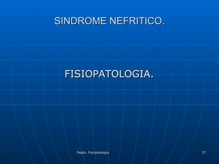 SINDROME NEFRITICO. FISIOPATOLOGIA. 