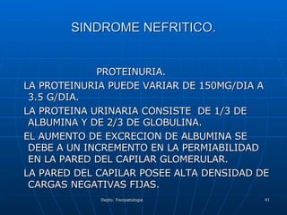 SINDROME NEFRITICO. PROTEINURIA. LA PROTEINURIA PUEDE VARIAR DE 150MG/DIA A 3.5 G/DIA. LA PROTEINA URINARIA CONSISTE  DE 1/3 DE ALBUMINA Y DE 2/3 DE GLOBULINA. EL AUMENTO DE EXCRECION DE ALBUMINA SE DEBE A UN INCREMENTO EN LA PERMIABILIDAD EN LA PARED DEL CAPILAR GLOMERULAR. LA PARED DEL CAPILAR POSEE ALTA DENSIDAD DE CARGAS NEGATIVAS FIJAS. 