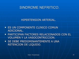 SINDROME NEFRITICO. HIPERTENSION ARTERIAL. ES UN COMPONENTE CLINICO COMUN ADICIONAL. PARTICIPAN FACTORES RELACIONADOS CON EL VOLUMEN Y LA VASOCONTRICCION. SE DEBE PREDOMINANTEMENTE A UNA RETENCION DE LIQUIDO. 
