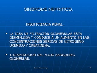 SINDROME NEFRITICO. INSUFICIENCIA RENAL. LA TASA DE FILTRACION GLOMERULAR ESTA DISMINUIDA Y CONDUCE A UN AUMENTO EN LAS CONCENTRACIONES SERICAS DE NITROGENO UREMICO Y CREATININA. 1-DISMINUCION DEL FLUJO SANGUINEO GLOMERLAR. 
