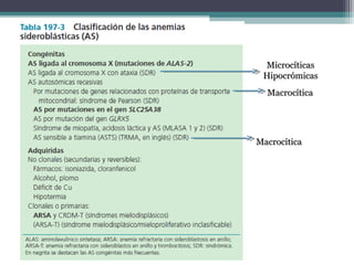 MicrocíticasMicrocíticas
HipocrómicasHipocrómicas
MacrocíticaMacrocítica
MacrocíticaMacrocítica
 
