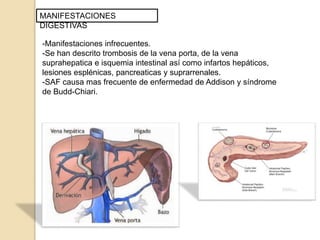 MANIFESTACIONES
DIGESTIVAS
-Manifestaciones infrecuentes.
-Se han descrito trombosis de la vena porta, de la vena
suprahepatica e isquemia intestinal así como infartos hepáticos,
lesiones esplénicas, pancreaticas y suprarrenales.
-SAF causa mas frecuente de enfermedad de Addison y síndrome
de Budd-Chiari.
 