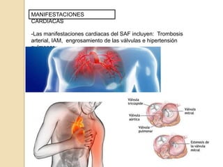MANIFESTACIONES
CARDIACAS
-Las manifestaciones cardiacas del SAF incluyen: Trombosis
arterial, IAM, engrosamiento de las válvulas e hipertensión
pulmonar.
 