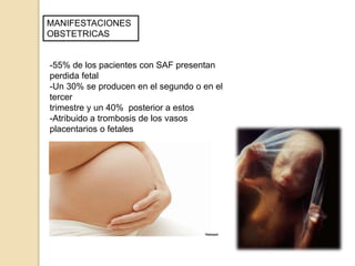 MANIFESTACIONES
OBSTETRICAS
-55% de los pacientes con SAF presentan
perdida fetal
-Un 30% se producen en el segundo o en el
tercer
trimestre y un 40% posterior a estos
-Atribuido a trombosis de los vasos
placentarios o fetales
 