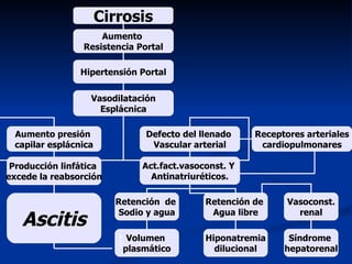 Cirrosis
                    Aumento
                Resistencia Portal

                Hipertensión Portal

                  Vasodilatación
                    Esplácnica

 Aumento presión              Defecto del llenado    Receptores arteriales
 capilar esplácnica            Vascular arterial      cardiopulmonares

 Producción linfática        Act.fact.vasoconst. Y
excede la reabsorción          Antinatriuréticos.

                        Retención de       Retención de     Vasoconst.

   Ascitis
                         Sodio y agua       Agua libre        renal

                          Volumen          Hiponatremia     Síndrome
                         plasmático          dilucional    hepatorenal
 