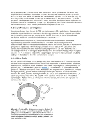 para câncer em 14 a 20% dos casos, após seguimento médio de 39 meses. Pacientes com
displasia de alto grau foram submetidos a ressecção precoce e apresentaram câncer em até
60% dos casos. Não houve mortalidade nos pacientes sem displasia. Um paciente dos 15 (7%),
com diagnóstico inicial de DBG, morreu aos 46 meses de ACE, ao passo que 13% (2/15) dos
pacientes com DAG morreram dentro de 20 meses em média. A mortalidade dos pacientes com
diagnóstico inicial de câncer foi de 33% (4/12)37
. A progressão para câncer também correlaciona-
se com a extensão e com a presença de úlceras no epitélio colunar 34;37;38
.
6. Biologia Molecular e Carcinogênese
Considerando-se o risco elevado de ACE nos pacientes com EB e as limitações da avaliação da
displasia, vários marcadores moleculares têm sido pesquisados, a fim de indicar o prognóstico
de forma mais precisa, uma vez que pacientes com EB progridem de forma heterogênea e
variável na seqüência metaplasia-displasia-adenocarcinoma 4;32;39;40
.
O processo da carcinogênese do EB envolve uma série de anormalidades genéticas e
epigenéticas que ocorrem em múltiplas etapas e resultam em atividade proliferativa
descontrolada, independente dos controles estimulatórios e inibitórios, bloqueio da morte celular
programada (apoptose), estímulo à angiogênese e invasão tecidual 39-42
. Os eventos com
correlação mais constante e de maior aplicação prognóstica no EB, até o momento, são a
atividade proliferativa, as alterações de ploidias do ácido desoxirribonucléico (DNA) e mutações
do gene p53 32
. As fases do ciclo celular e os principais marcadores moleculares em estudo no
esôfago de Barrett serão descritas sumariamente a seguir.
6. 1 . O Ciclo Celular
O ciclo celular compreende todo o período entre duas divisões mitóticas. É controlado por uma
série de moléculas presentes no núcleo celular, que determinam se a célula entrará em mitose,
diferenciação, repouso ou morte. Apresenta cinco fases: G1 (first gap), S (DNA synthesis), G2
(second gap), M (mitose) e G0 (repouso) (Figura 1). Durante a fase G1, ocorre a síntese de
proteínas e de ácido ribonucléico (RNA). Nessa fase, há um ponto crítico, denominado ponto de
restrição (Ponto R), quando a célula pode seguir o ciclo para a divisão ou sair e entrar em
repouso. Na fase S, ocorre a duplicação do DNA e a célula torna-se tetraplóide (4n). Em G2, a
célula prepara-se para a mitose. Na fase M, ocorre a divisão celular em duas células filhas
diplóides (2n). Após a mitose, a célula pode entrar na fase G0, na qual fica em repouso, ou
reiniciar outro ciclo 43
.
 