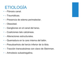 ETIOLOGÍA
• - Fibrosis canal.
• - Traumáticas.
• - Presencia de edema perimaleolar.
• - Obesidad.
• - Gangliones en el canal del tarso.
• - Coaliciones talo calcáneas.
• - Alteraciones estructurales.
• - Quemadura en la cara interna del talón.
• - Pseudoartrois del tercio inferior de la tibia.
• - Tracción transcalcánea con clavo de Steinman.
• - Artrodesis subastragalina.
 