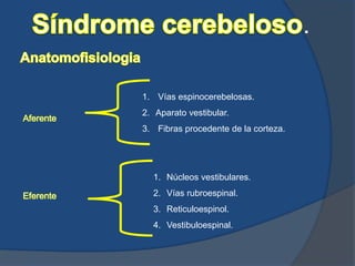 .
1. Vías espinocerebelosas.
2. Aparato vestibular.
3. Fibras procedente de la corteza.
1. Núcleos vestibulares.
2. Vías rubroespinal.
3. Reticuloespinol.
4. Vestibuloespinal.