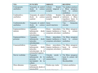 Jesús A. Custodio Marroquín