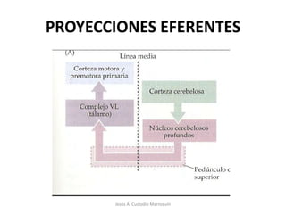 Jesús A. Custodio Marroquín