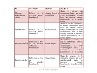 Núcleos intracerebelososJesús A. Custodio Marroquín
