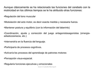PROYECCIONES AFERENTESJesús A. Custodio Marroquín