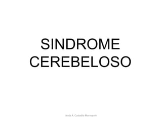 Jesús A. Custodio Marroquín