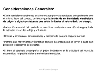 PROYECCIONES EFERENTESJesús A. Custodio Marroquín