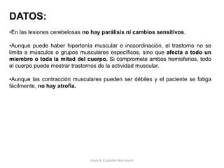 Activaría los procesos del aprendizaje de patrones motores