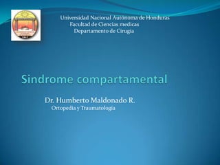 Universidad Nacional Autónoma de Honduras
Facultad de Ciencias medicas
Departamento de Cirugía

Dr. Humberto Maldonado R.
Ortopedia y Traumatología

 