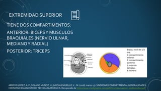 TIENE DOS COMPARTIMENTOS:
ANTERIOR: BICEPSY MUSCULOS
BRAQUIALES (NERVIO ULNAR,
MEDIANOY RADIAL)
POSTERIOR:TRICEPS
EXTREMIDAD SUPERIOR
ARROYO LOPEZ, A. P., SOLANO MUÑOZ, H., & ROJAS MURILLO,V. . M. (2018, marzo 15). SINDROMECOMPARTIMENTALGENERALIDADES,
CONSENSO DIAGNOSTICOYTÉCNICAQUIRÚRGICA. Recuperado de https://www.medigraphic.com/pdfs/revcliescmed/ucr-2018/ucr182e.pdf
 