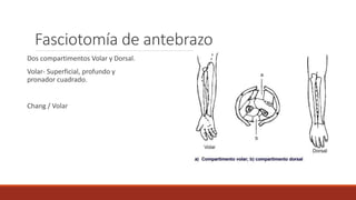 Fasciotomía de antebrazo
Dos compartimentos Volar y Dorsal.
Volar- Superficial, profundo y
pronador cuadrado.
Chang / Volar
 