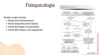 Existen cuatro teorías:
Teoria de la intravasacion
Teoria bioquímica de la lipasa
Teoria del origen no traumático
Teoria del choque y la coagulación
Fisiopatología
 