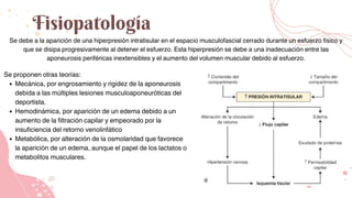 Fisiopatología
Se debe a la aparición de una hiperpresión intratisular en el espacio musculofascial cerrado durante un esfuerzo físico y
que se disipa progresivamente al detener el esfuerzo. Esta hiperpresión se debe a una inadecuación entre las
aponeurosis periféricas inextensibles y el aumento del volumen muscular debido al esfuerzo.
Se proponen otras teorías:
Mecánica, por engrosamiento y rigidez de la aponeurosis
debida a las múltiples lesiones musculoaponeuróticas del
deportista.
Hemodinámica, por aparición de un edema debido a un
aumento de la filtración capilar y empeorado por la
insuficiencia del retorno venolinfático
Metabólica, por alteración de la osmolaridad que favorece
la aparición de un edema, aunque el papel de los lactatos o
metabolitos musculares.
 