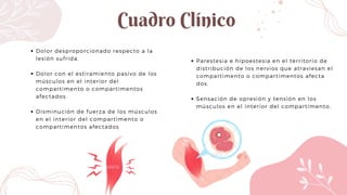 Cuadro Clínico
Dolor desproporcionado respecto a la
lesión sufrida.
Dolor con el estiramiento pasivo de los
músculos en el interior del
compartimento o compartimentos
afectados.
Disminución de fuerza de los músculos
en el interior del compartimento o
compartimentos afectados
Parestesia e hipoestesia en el territorio de
distribución de los nervios que atraviesan el
compartimento o compartimentos afecta
dos.
Sensación de opresión y tensión en los
músculos en el interior del compartimento.
 