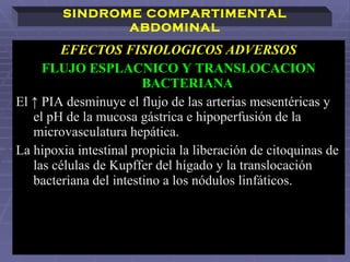 EFECTOS FISIOLOGICOS ADVERSOS FLUJO ESPLACNICO Y TRANSLOCACION BACTERIANA El ↑ PIA desminuye el flujo de las arterias mesentéricas y el pH de la mucosa gástrica e hipoperfusión de la microvasculatura hepática. La hipoxia intestinal propicia la liberación de citoquinas de las células de Kupffer del hígado y la translocación bacteriana del intestino a los nódulos linfáticos.   SINDROME COMPARTIMENTAL ABDOMINAL 