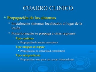 CCUUAADDRROO CCLLIINNIICCOO 
 PPrrooppaaggaacciióónn ddee llooss ssíínnttoommaass 
 IInniicciiaallmmeennttee ssíínnttoommaass llooccaalliizzaaddooss aall lluuggaarr ddee llaa 
lleessiióónn 
 PPoosstteerriioorrmmeennttee ssee pprrooppaaggaa aa oottrraass rreeggiioonneess 
• TTiippoo ccoonnttiinnuuoo 
 PPrrooppaaggaacciióónn ddee mmaanneerraa aasscceennddeennttee 
• TTiippoo iimmaaggeenn eenn eessppeejjoo 
 PPrrooppaaggaacciióónn aa llaa eexxttrreemmiiddaadd ccoonnttrraallaatteerraall 
• TTiippoo iinnddeeppeennddiieennttee 
 PPrrooppaaggaacciióónn aa oottrraa ppaarrttee ddeell ccuueerrppoo iinnddeeppeennddiieennttee 
 