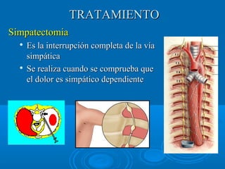 TTRRAATTAAMMIIEENNTTOO 
SSiimmppaatteeccttoommiiaa 
 EEss llaa iinntteerrrruuppcciióónn ccoommpplleettaa ddee llaa vvííaa 
ssiimmppááttiiccaa 
 SSee rreeaalliizzaa ccuuaannddoo ssee ccoommpprruueebbaa qquuee 
eell ddoolloorr eess ssiimmppááttiiccoo ddeeppeennddiieennttee 
 