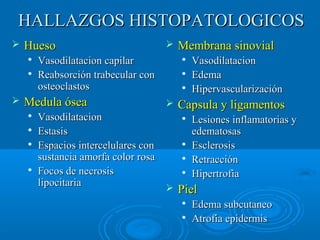 HALLAZGOS HHIISSTTOOPPAATTOOLLOOGGIICCOOSS 
 HHuueessoo 
 VVaassooddiillaattaacciioonn ccaappiillaarr 
 RReeaabbssoorrcciióónn ttrraabbeeccuullaarr ccoonn 
oosstteeooccllaassttooss 
 MMeedduullaa óósseeaa 
 VVaassooddiillaattaacciioonn 
 EEssttaassiiss 
 EEssppaacciiooss iinntteerrcceelluullaarreess ccoonn 
ssuussttaanncciiaa aammoorrffaa ccoolloorr rroossaa 
 FFooccooss ddee nneeccrroossiiss 
lliippoocciittaarriiaa 
 MMeemmbbrraannaa ssiinnoovviiaall 
 VVaassooddiillaattaacciioonn 
 EEddeemmaa 
 HHiippeerrvvaassccuullaarriizzaacciióónn 
 CCaappssuullaa yy lliiggaammeennttooss 
 LLeessiioonneess iinnffllaammaattoorriiaass yy 
eeddeemmaattoossaass 
 EEsscclleerroossiiss 
 RReettrraacccciióónn 
 HHiippeerrttrrooffiiaa 
 PPiieell 
 EEddeemmaa ssuubbccuuttaanneeoo 
 AAttrrooffiiaa eeppiiddeerrmmiiss 
 
