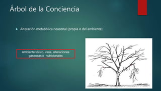 Árbol de la Conciencia
 Alteración metabólica neuronal (propia o del ambiente)
Ambiente tóxico, virus, alteraciones
gaseosas o nutricionales
 