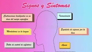 Contracciones localizadas en un
área del cuerpo especifica
Mordeduras en la lengua
Falta de control de esfínteres
Inconsciencia
Apnea
Expulsión de espuma por la
boca
 